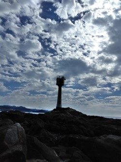 一文字でグレ釣れてます・